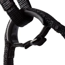 Mammut Sender Harness -Mammut SAFORA D6