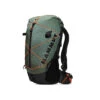 Mammut Ducan Spine Backpack - Men's